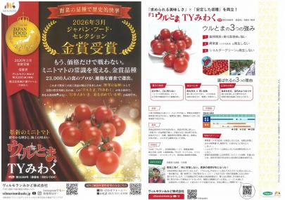 ミニトマト】ウルとまシリーズ F1 ウルとま TYみわく (MKS-T834