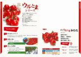 クリックすると商品の詳細がご覧いただけます
