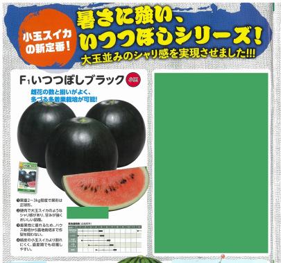 スイカ】赤小玉 F1 いつつぼしブラック〔0394〕 | 野菜・草花の種苗の