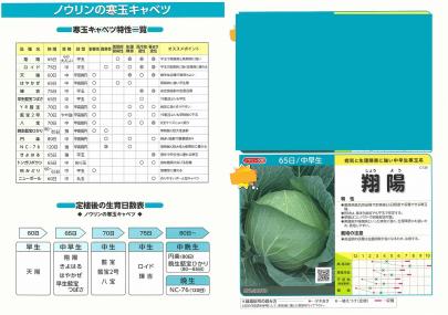 クリックすると画面いっぱいに写真を拡大します