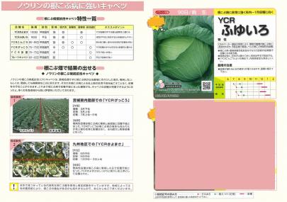 クリックすると画面いっぱいに写真を拡大します