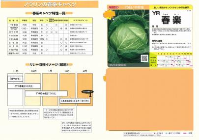 クリックすると画面いっぱいに写真を拡大します