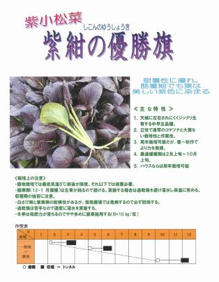 クリックすると画面いっぱいに写真を拡大します