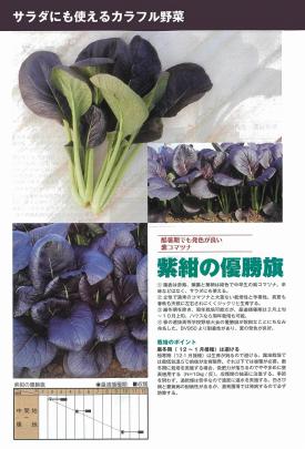 クリックすると画面いっぱいに写真を拡大します