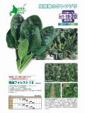 クリックすると商品の詳細がご覧いただけます