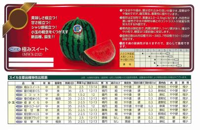 スイカ】赤小玉 極みスイート (MVX-232)〔宇治交配〕 | 野菜・草花の
