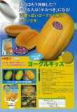 クリックすると商品の詳細がご覧いただけます