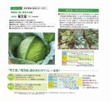 クリックすると商品の詳細がご覧いただけます