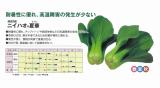クリックすると商品の詳細がご覧いただけます