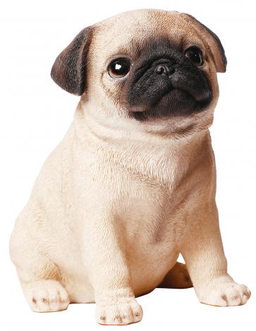 ★パグ子★ページ Amazon.co.jp: パグ (新犬種別ガイド・シリーズ) : 愛犬の友編集