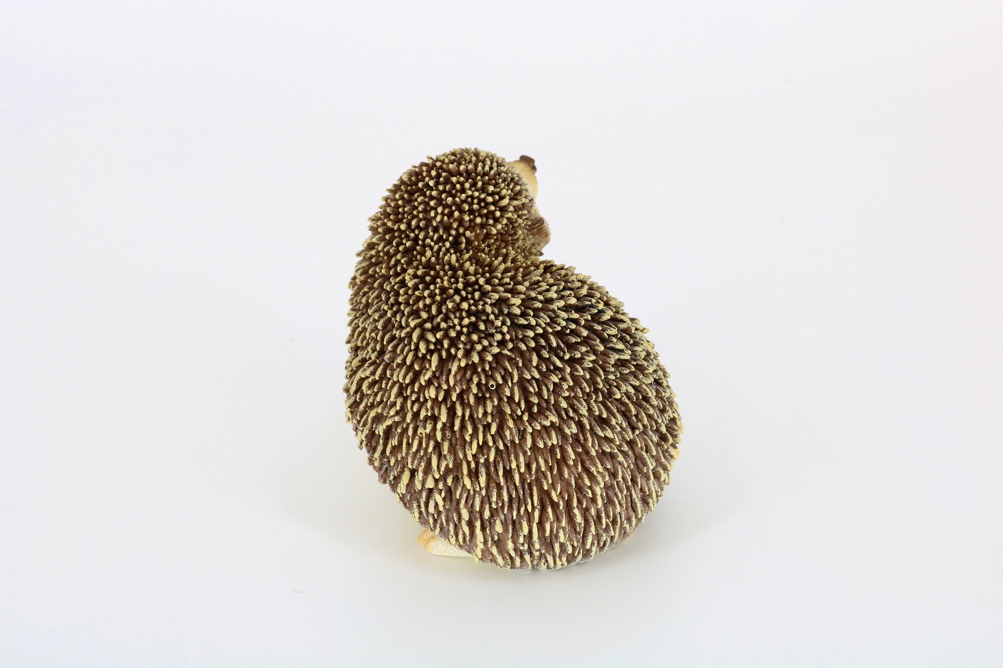 はりねずみ アフリカハリネズミ属 | 動物図鑑 | ZFC.jp